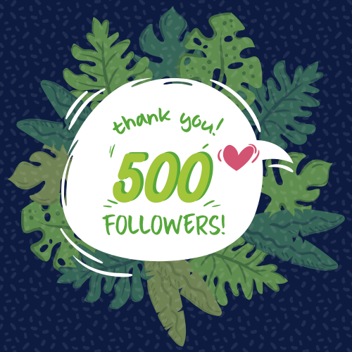 A Loop8 Milestone: 500 likes on Facebook!